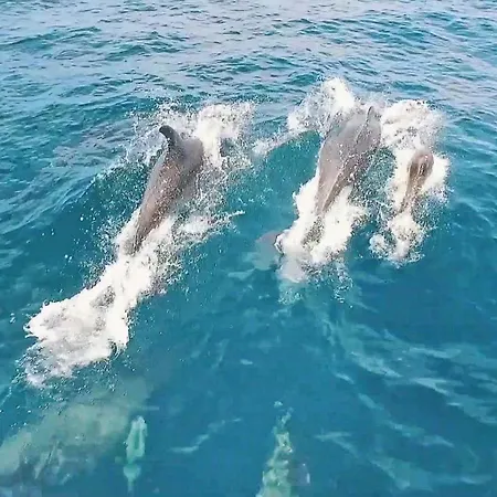 Saona By Algarve Vacation