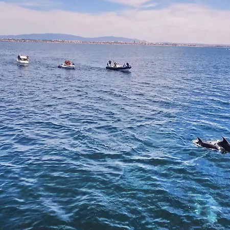 Σπίτι διακοπών Saona By Algarve Vacation Αλμπουφέιρα